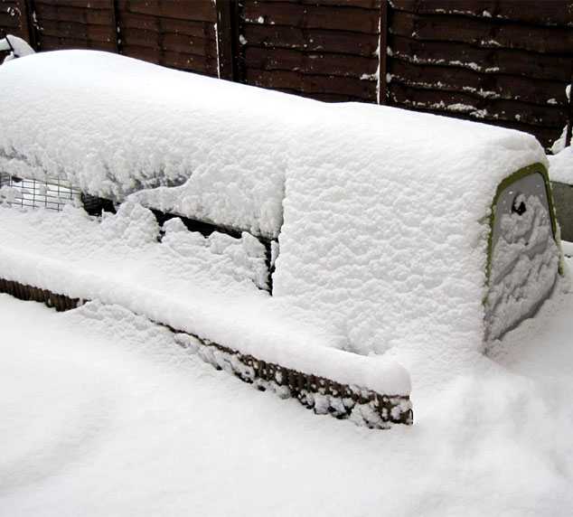 The Eglu Go chicken house covered in snow.