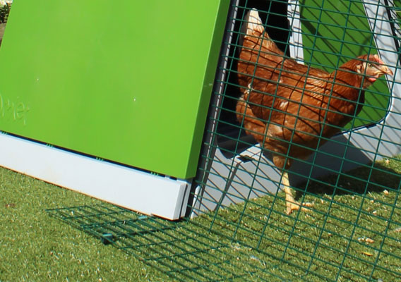 The skirting of an Eglu Go chicken run.