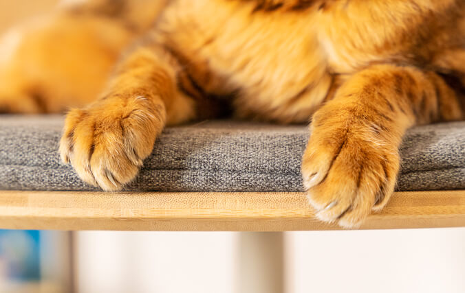 Alluminio e bamboo resistente e di lunga durata per la sicurezza & Comfort