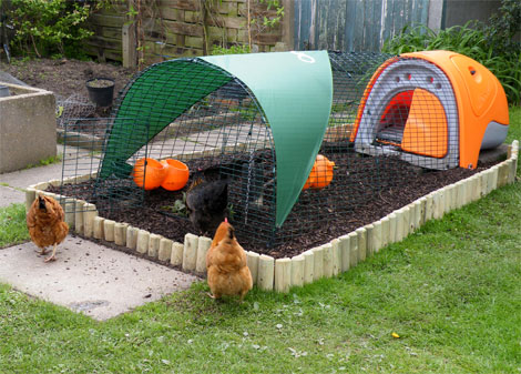 An orange Eglu Classic on bark chippings.