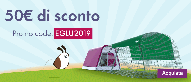 January Eglu Promotion