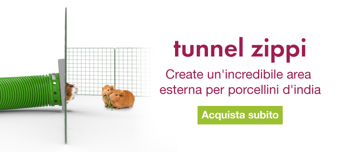 Zippi Guinea Pig Tunnel System Banner
