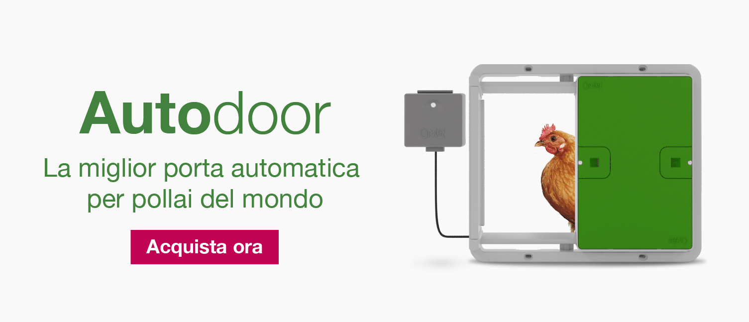 Autodoor Banner