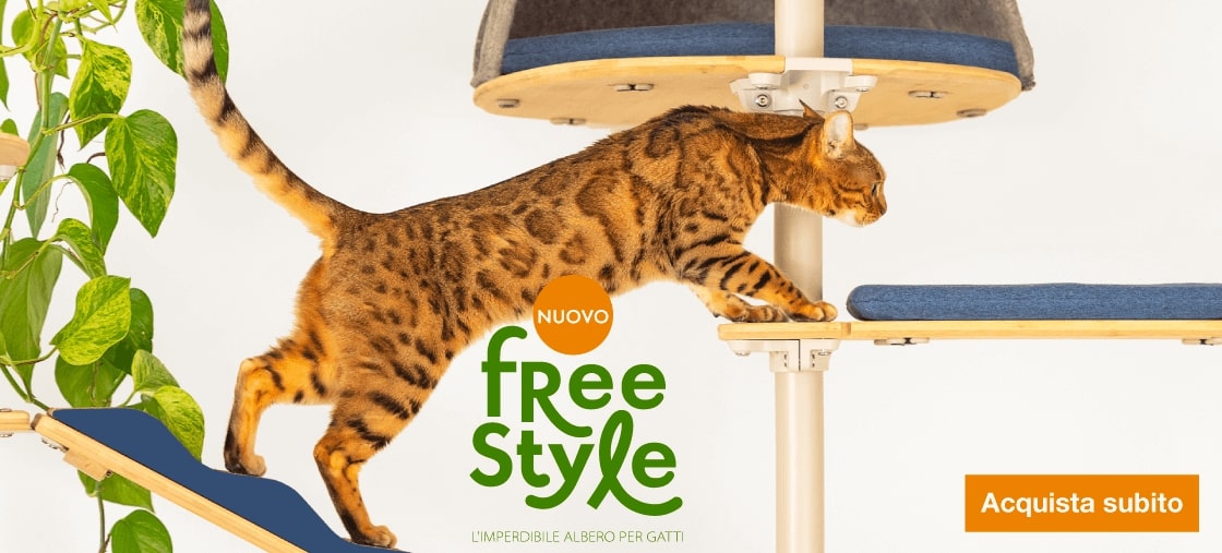 Gatto che si arrampica sul ponte dell'albero del gatto indoor.
