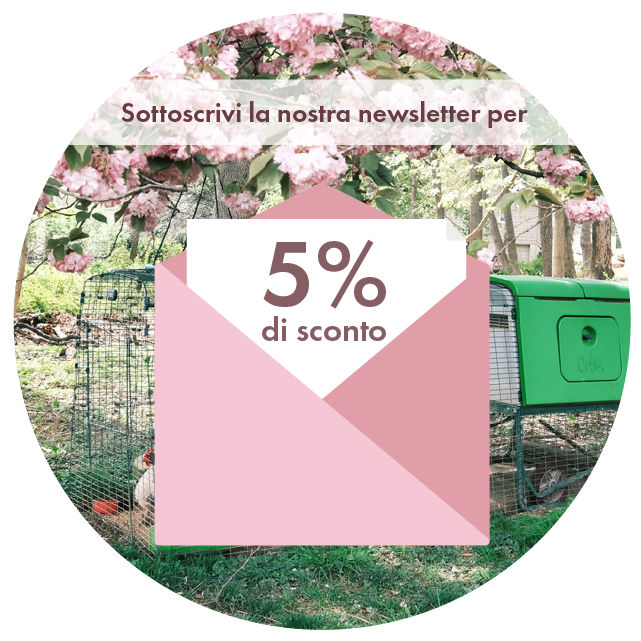 Newsletter Sign Up