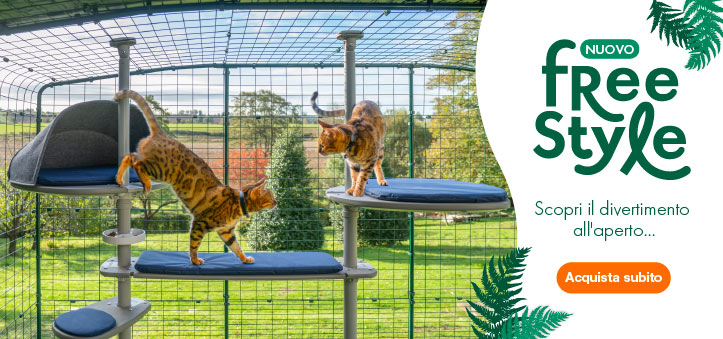 Due gatti rossi giocano sull'albero da esterno Freestyle della Omlet