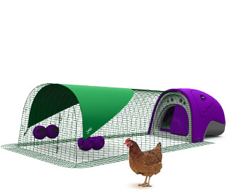 Eglu Classic Chicken house