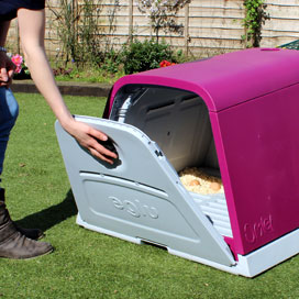 Opening the large backdoor of an Eglu Go chicken house.