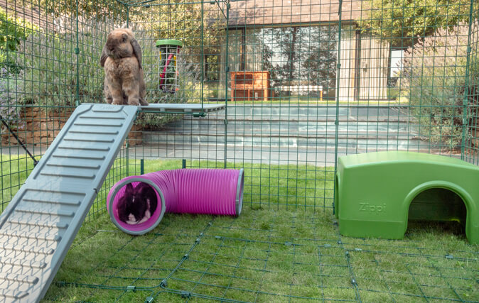 I conigli si sentiranno al sicuro lassù e ben protetti giù