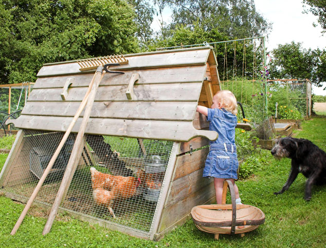 The raised wooden Boughton chicken coop is really easy to use