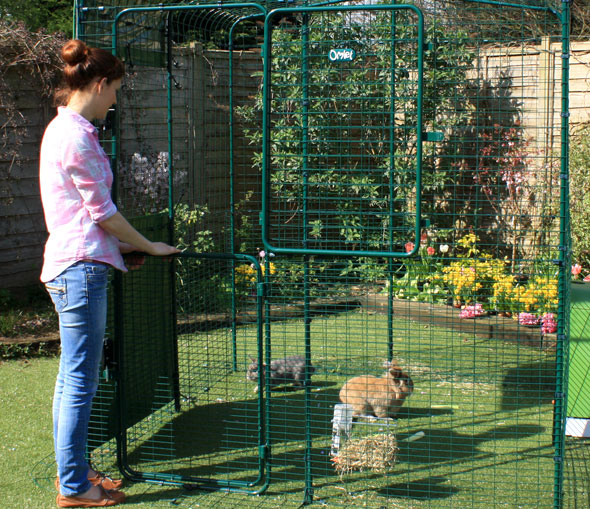 El Recinto Exterior para Conejos Alto tiene una puerta estable de altura completa que hace fácil echar golosinas a tus mascotas. 