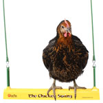 L’altalena per galline