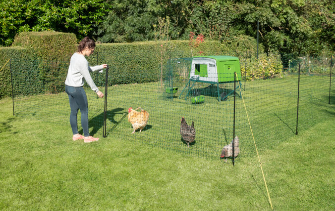 eglu cube e rete per galline con porta