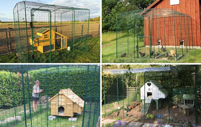 Wooden chicken coops with the Walk In Run.