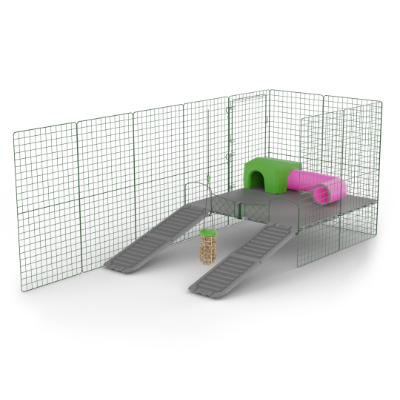 Piattaforme Zippi per porcellini d'india - 4 pannelli con Rifugio verde, Tunnel gioco e dispenser Caddi