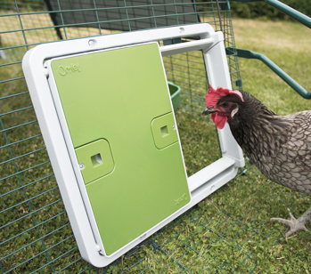 Autodoor funziona con tutti i recinti per galline