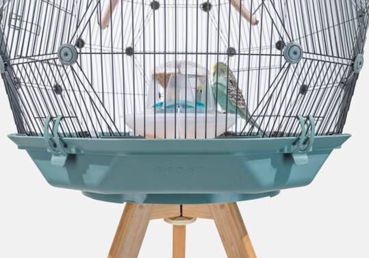 The Geo Bird Cage on a wooden stand with a teal coloured base