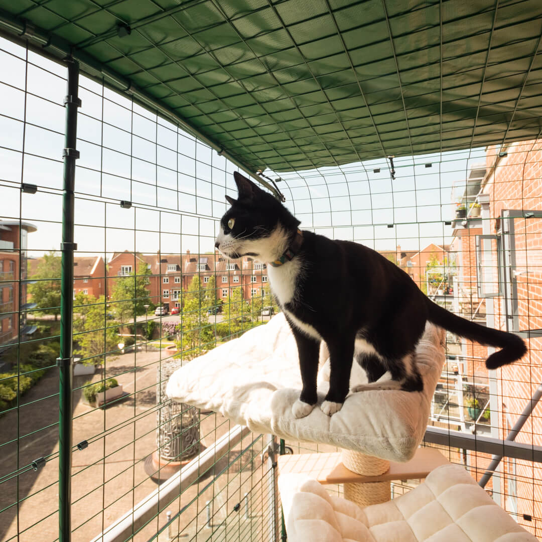 Gatto che si rilassa in un sicuro recinto per balconi di Omlet su un albero per gatti