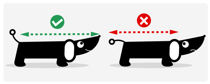 Guida alle dimensioni della cuccia del cane per topology