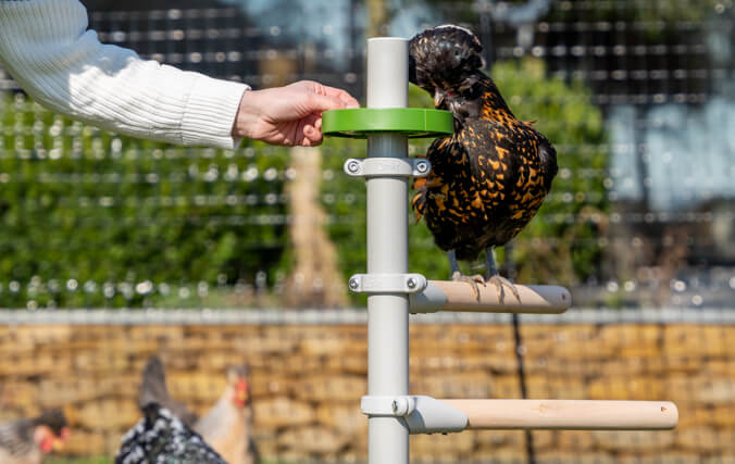 una donna aggiunge dei premietti al dispenser sul Freestanding sulla scaletta