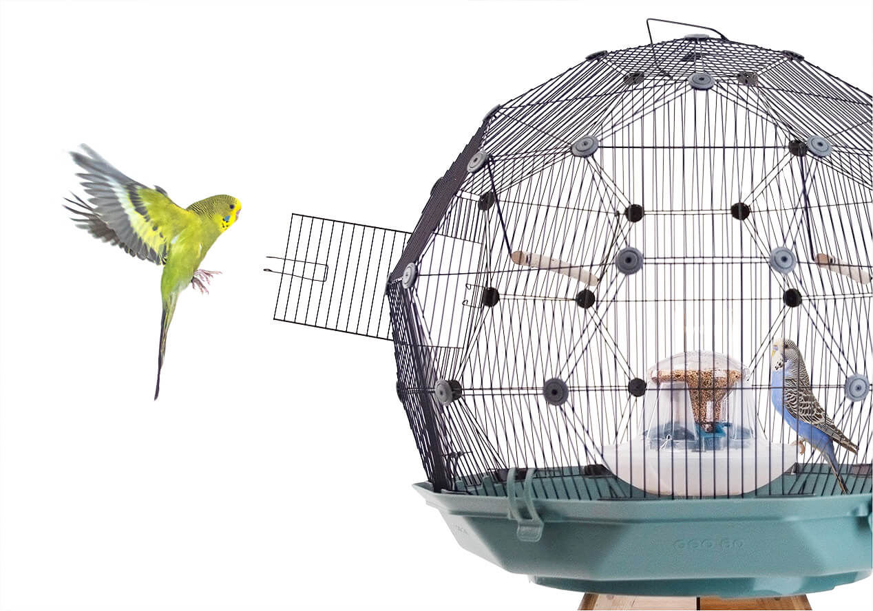 A yellow budgie flies towards an open door of the Geo Bird Cage while a blue budgie perches at the centrally located feed station inside the cage