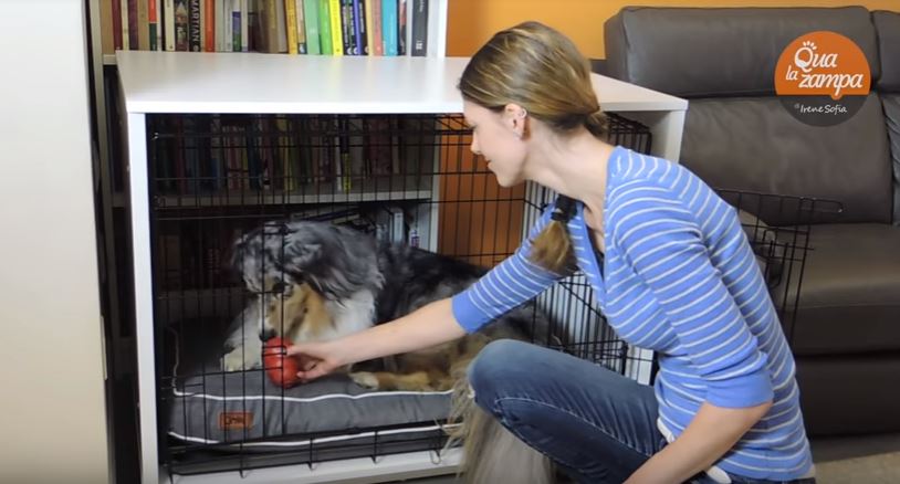 Using a dog crate is an excellent way to train a puppy